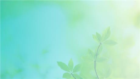 Banner Picture